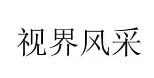 视界风采图标