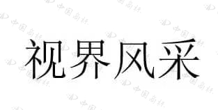 视界风采图标